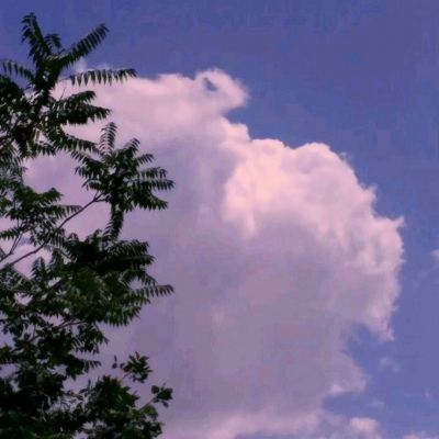百变数字宝宝游戏下载